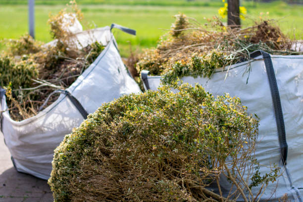 Household Junk Removal in Cridersville, OH